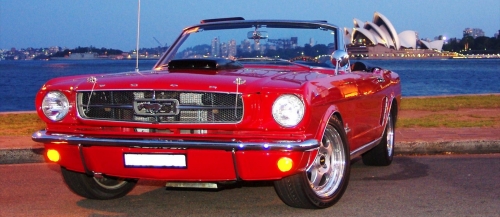 80116831339799217_IMGP4143 (2).JPG